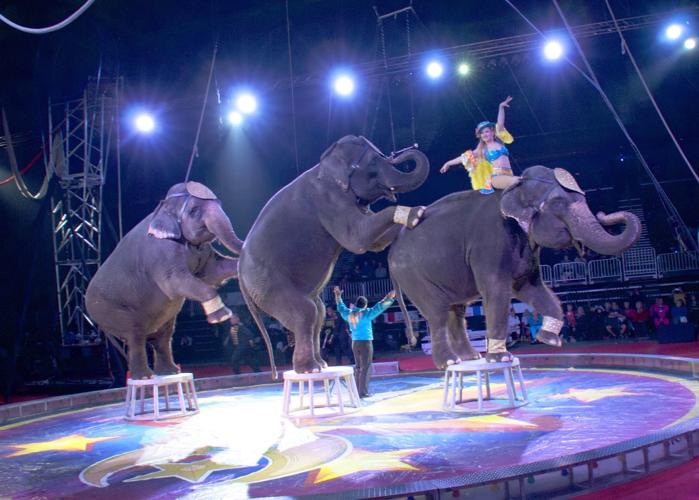 circus1